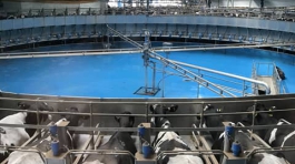 مجتمع دامداری آوین دشت و دشت رادین